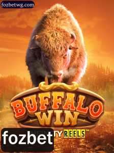 Domine o Jogo: BuffaloWin no Fozbet